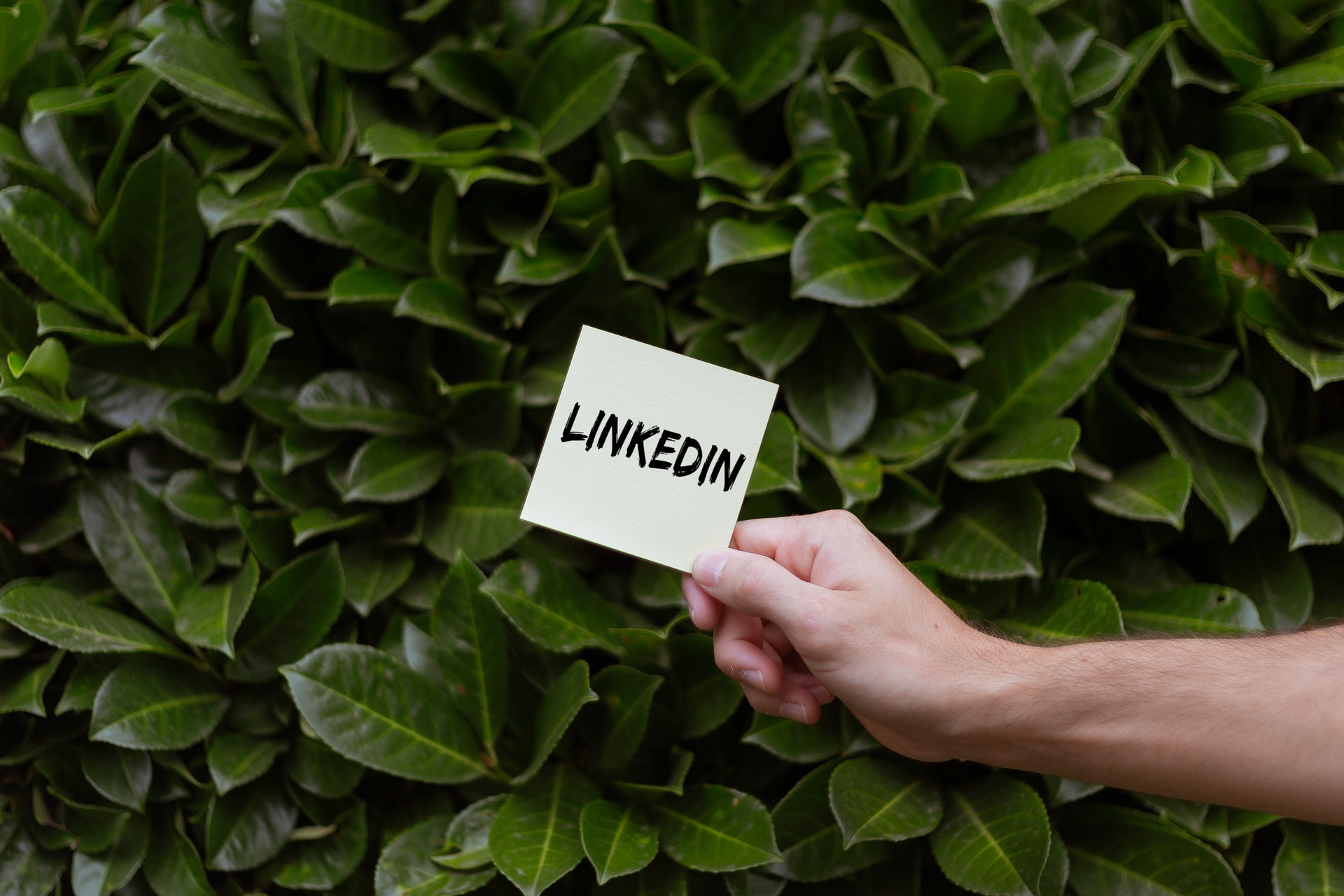 5 Ways Entrepreneurs Can Use LinkedIn To Blow Up Their Brand By Fantastic Services